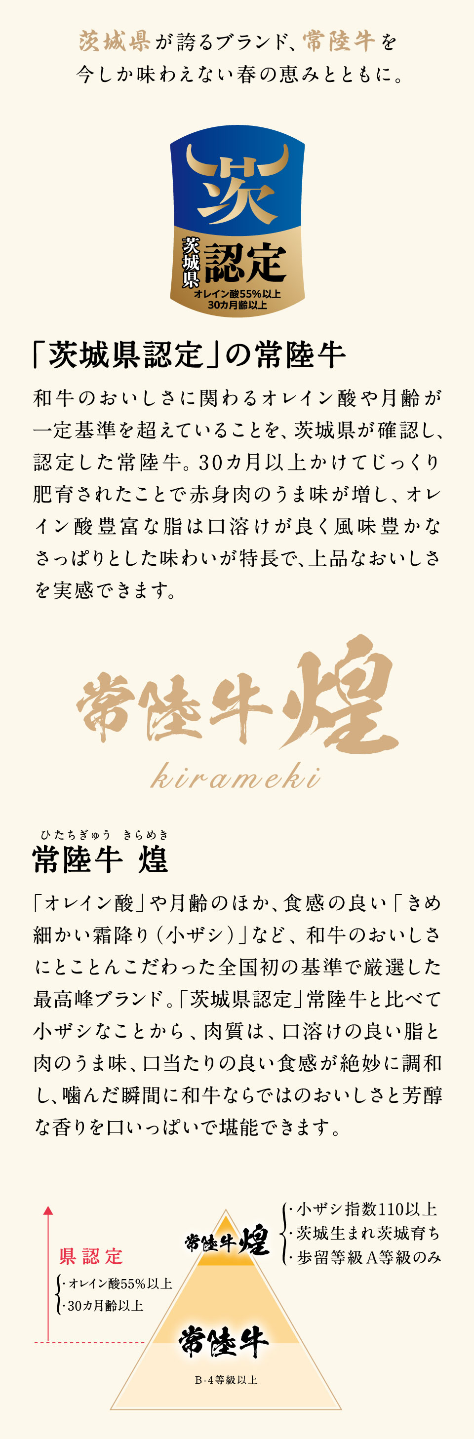 素材